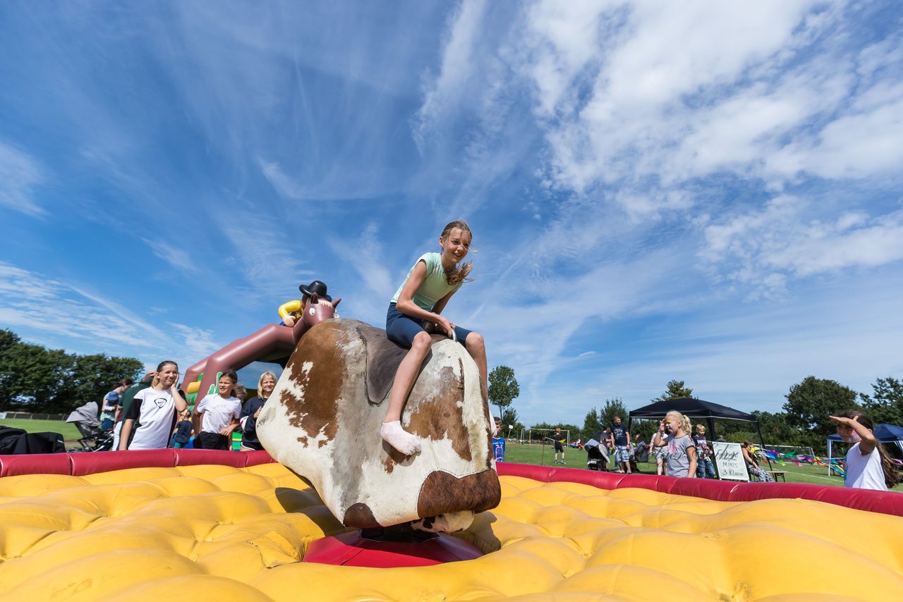 Bild 496 - Vogelschiessen